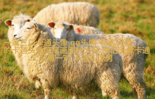 可爱的小猪头像(16张)
